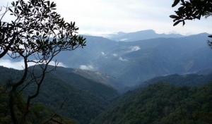 中島田山