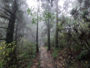 頂山石梯嶺步道周遭十個山頭 111.1.11