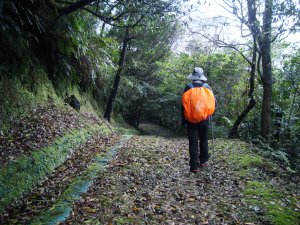 菁桐古道、耳空龜山、四分尾山、大尖山