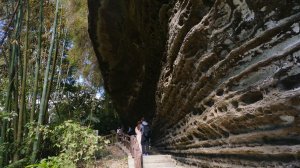 青年嶺步道
