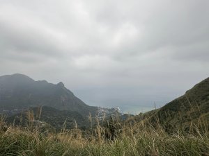 雨霧中的黃金三稜: 茶壺山、半屏山、燦光寮山O型縱走
