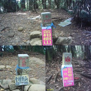 金柑樹山另類走法，杉林溪杜鵑森林步道上金柑樹山，由聚英村步道返回終點。