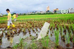 【嘉義】平地基石：頂潭、竹圍子、三疊溪、潭底子、後埔、菜保廓、義竹三塊厝