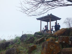 大尖山、四分尾山稜線O型走