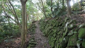 環O繞走牛寮埔 石壁腳 占山步道  北橫123段 牛寮埔步道 無極宮一圈