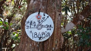 台中和平橫嶺山步道+橫嶺山+沙蓮山+笛吹山O繞