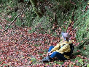 霞喀羅古道全線解鎖（石鹿到養老）
