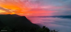 #翡翠水庫壩頂 #火燒雲 #日出 #雲海 8/1