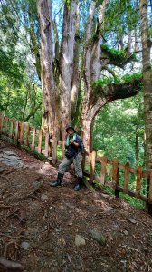 111/06/26鎮西堡巨木群步道（B區）