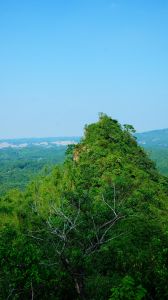 高雄內門馬頭山