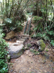 微笑山線之望古瀑布