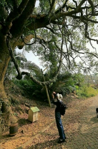 苗栗大窩山生態園區