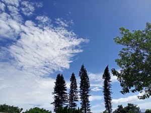 【臺北大縱走 1】(2-2) 貴子坑步道→學園路臺北大縱走北段起點