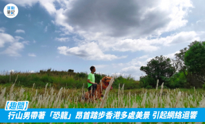 【趣聞】行山男帶著「恐龍」昂首踏步香港多處美景 引起網絡迴響