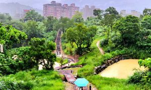 文山森林公園，興福庄建塚紀念碑，景美運動公園，華江雁鴨自然公園，雙園河濱公園，華中河濱公園，馬場町紀念公園，青年公園
