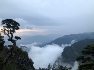 池有品田住新達山屋