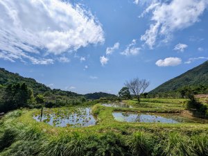 竹子湖步道群悠遊行