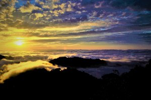 震撼雲海的季節~~快去薑麻園等待決不會讓你失望