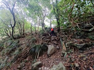 【高雄甲仙】沒有朵朵白雲。 小百岳集起來。 編號69小百岳-白雲山步道