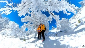 超綺麗夢幻的粉雪奇緣山行記在日本名古屋南沢山