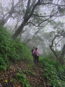 巴拉卡三秀O走～菜公坑山，百拉咔山（枕頭山），二子山東峰，二子山西峰