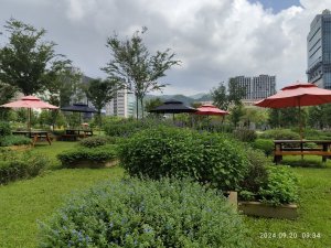 大安森林公園、大稻埕、大港墘公園【走路趣尋寶】【臺北健走趣】