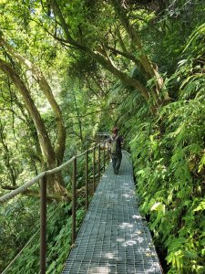 圳內＞草山觀瀑吊橋＞猴崁水圳＞青楓步道＞中正山產業道路＞頂湖山步道＞十八份