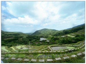 嵩山梯田 ( 新北、石門 )