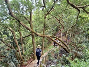 【台中潭子】爬山野餐趣。 新田登山步道x聚興山
