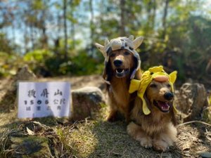 埔里六秀「橫屏山」護鄉神山