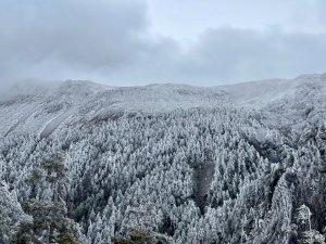 絕美銀白世界 玉山降下今年冬天「初雪」