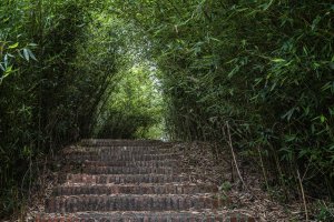2021-5-1峨眉十二寮山