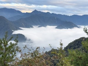 雪見遊憩區 探訪森林雪見之王