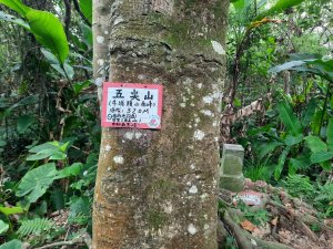 圓通寺烘爐地登山步道