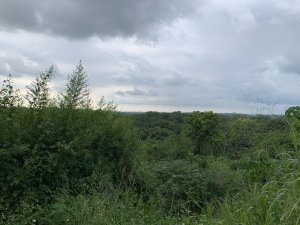 20250906台南蚵殼坑山-九層嶺-三十六崙山-洋子寮山