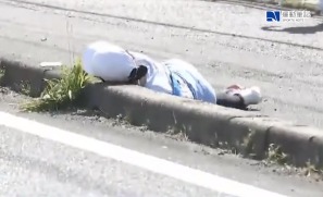 【賽事】公主駅伝選手搖晃倒地才喊停　網友轟救護太慢  大會賽後研議未來將提前開賽