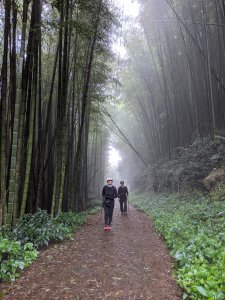 【山系野遊】 阿里山頂湖步道健行