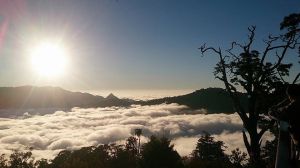 【新聞】大雪山遊樂區8月8日開放 限小客車入園且半票優惠