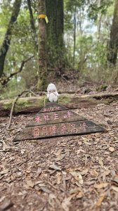 【中級山經典：水社大山、水社主峰】4小時53分的征途，汗水與意志的考驗。登上日月潭最高峰，才是真正的山友榮耀～