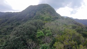 龍洞坑大瀑布、蚊子坑古道、北勢山O繞