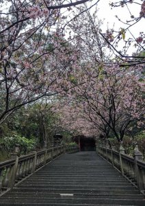 鯉魚山圓覺寺