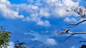 【西巒大山】挑戰百岳編號91｜從黑夜出發，遠望日月潭的黎明之光