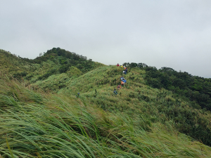 2025-015B：宜蘭郊山縱走(II)一頭城八八峰、鶯子嶺、礁水坑山、頭圍山下頭城車站
