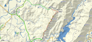 龜丹奇岩糖子恩