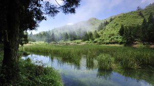 【新聞】陽明山國家公園成為世界第一座「都會寧靜公園」並將於6月5日（世界環境日）舉辦授證暨記者會