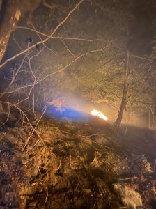 【新聞】國家森林救火隊即刻動員 成功控制森林火災