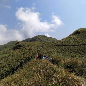 臺北大縱走第三段-小油坑到風櫃口，處處是大景，心曠神怡