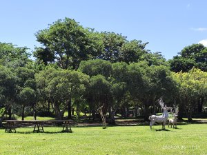 大安森林公園、花博公園圓山園區、基隆 【走路趣尋寶】【臺北健走趣】