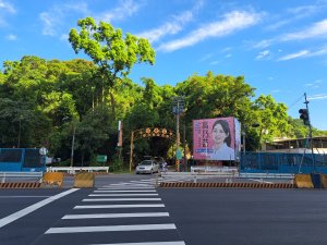 2026微笑山線大湖之森步道，百年榕樹段，405高地段