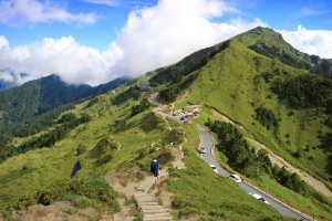 武嶺拍鳥順遊石門山及合歡尖山記